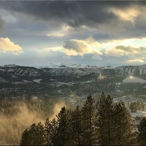 Meet your Posher, Lady Susan